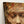 Wings Remembered: Forough Farrokhzad Poem Canvas Art with Female Portrait