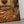 Wings Remembered: Forough Farrokhzad Poem Canvas Art with Female Portrait