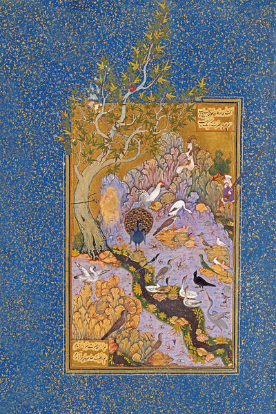 The Concourse of the Birds painting by Habiballah of Sava Persian miniature with frame and range of color options, Persian painting