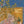 The Concourse of the Birds painting by Habiballah of Sava Persian miniature with frame and range of color options, Persian painting