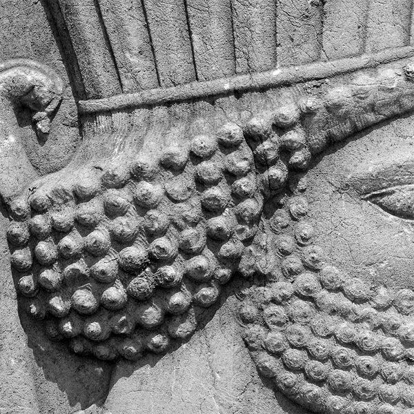 Ancient Persian soldier, Hakhamaneshi soldier in Persepolis Takht-e Jamshid wall art, Persian gift