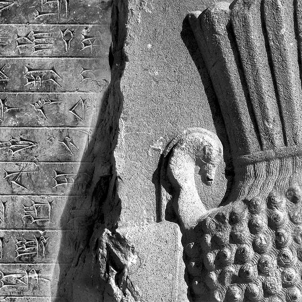 Old Persian cuneiform & ancient Persian soldier wall art, Hakhamaneshi soldier in Persepolis Takht-e Jamshid