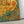 High-quality gallery-wrapped canvas surface showing detailed print finish