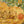 Texture close-up demonstrating premium canvas material and professional print clarity